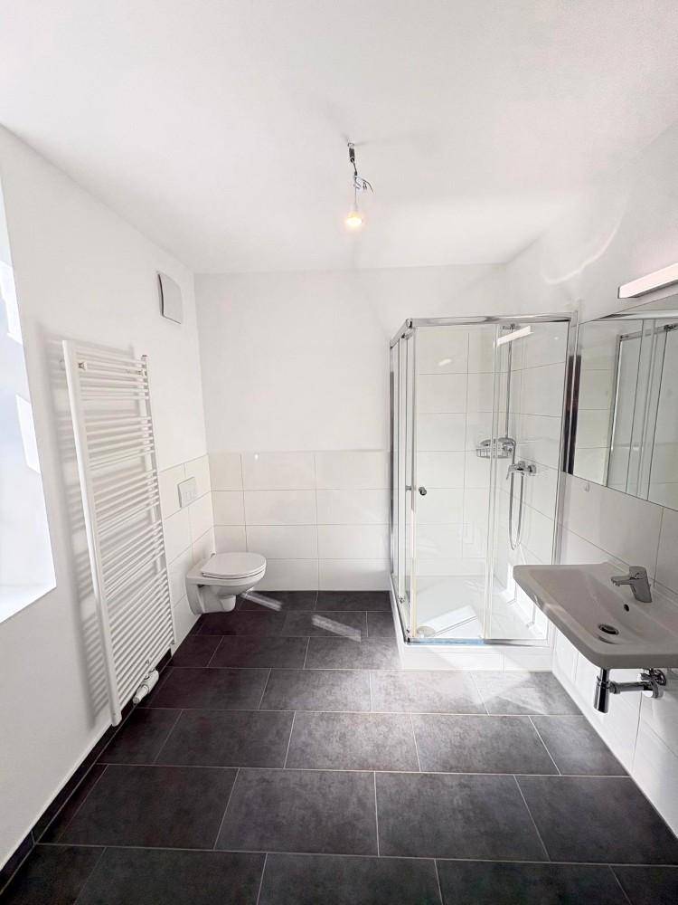 Modernes Badezimmer mit dunklen Fliesen, Duschkabine, WC und beheiztem Handtuchhalter, hell und funktional.