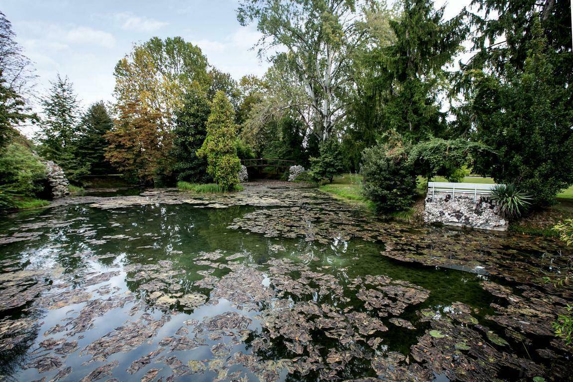Großer, natürlicher Teich mit Seerosen und üppiger Ufervegetation, eingebettet in die weitläufige Gartenlandschaft.