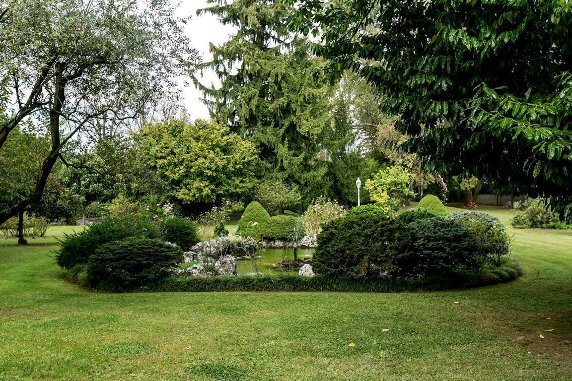 Idyllischer Gartenbereich mit einem natürlichen Teich, umgeben von üppiger Vegetation und gepflegten Sträuchern.