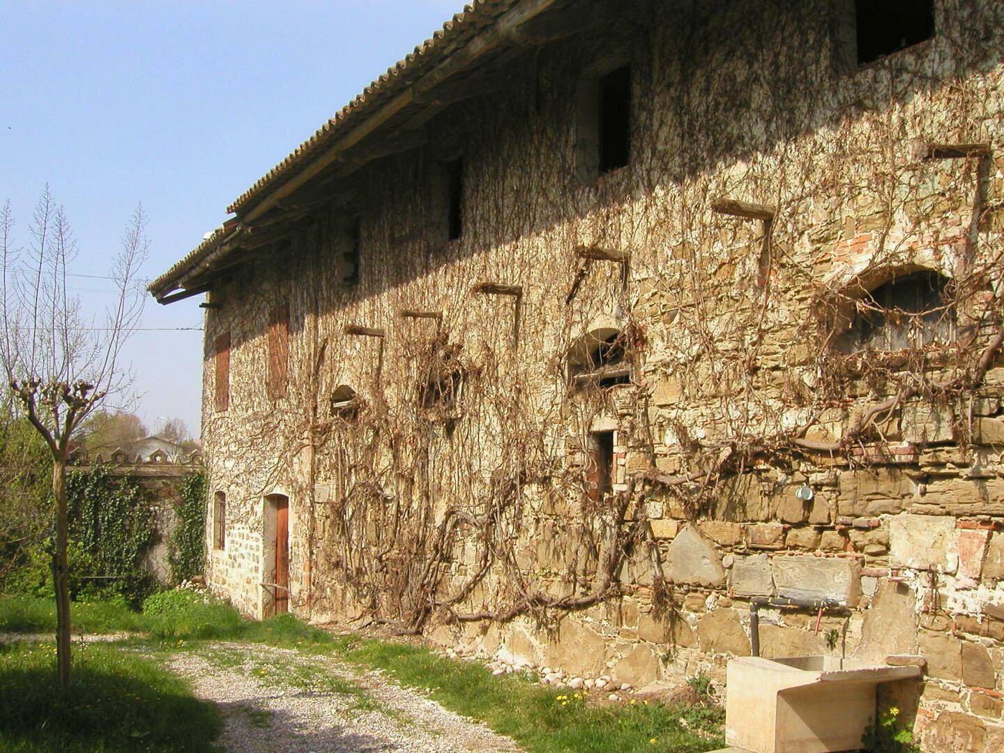 Alte Steinmauer eines Gebäudes, teilweise mit Kletterpflanzen bewachsen, neben einem Kiesweg.