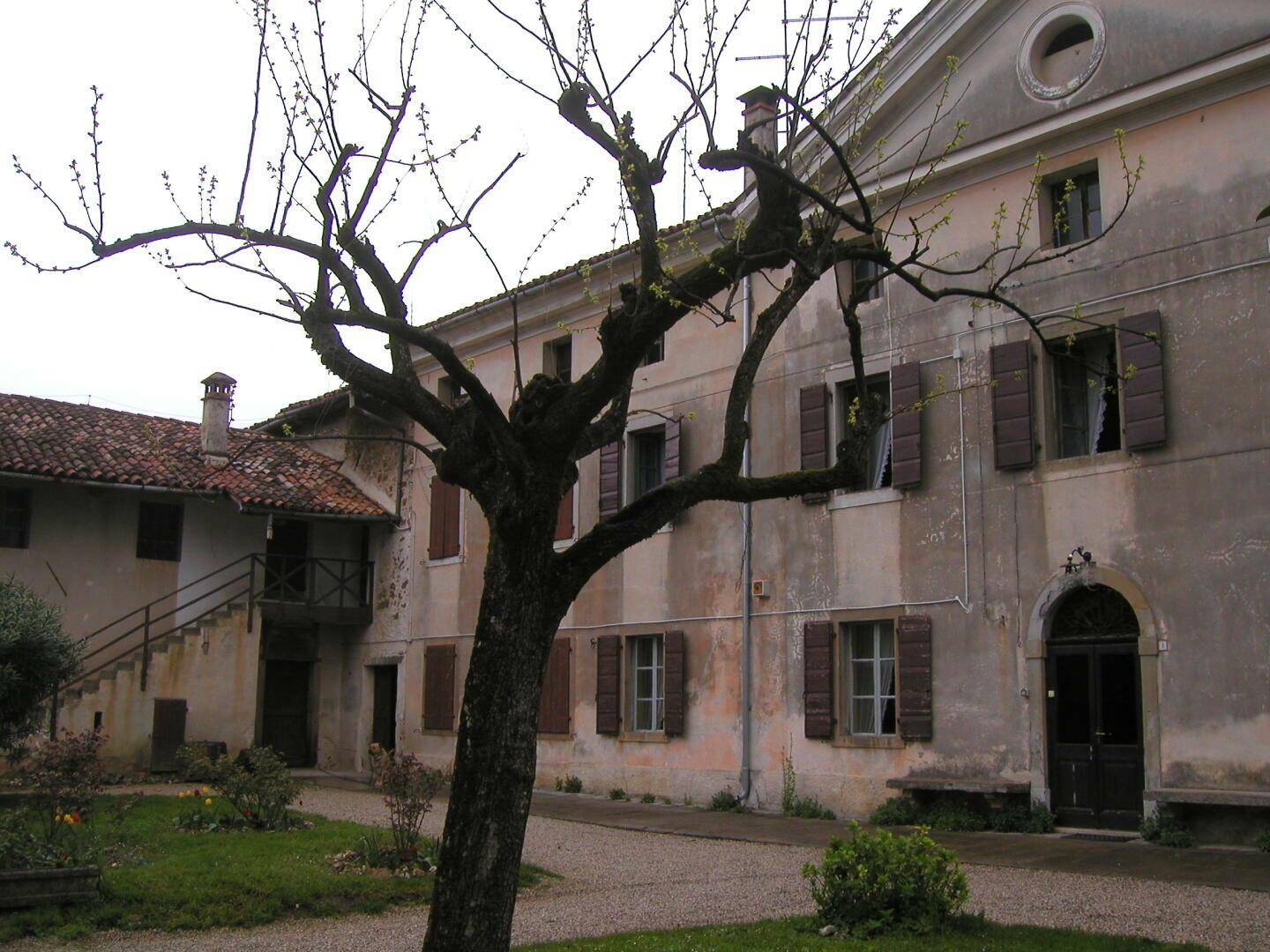 Historische Gebäudefassade mit einem markanten Baum und einem Kiesweg, der zum Eingang führt.
