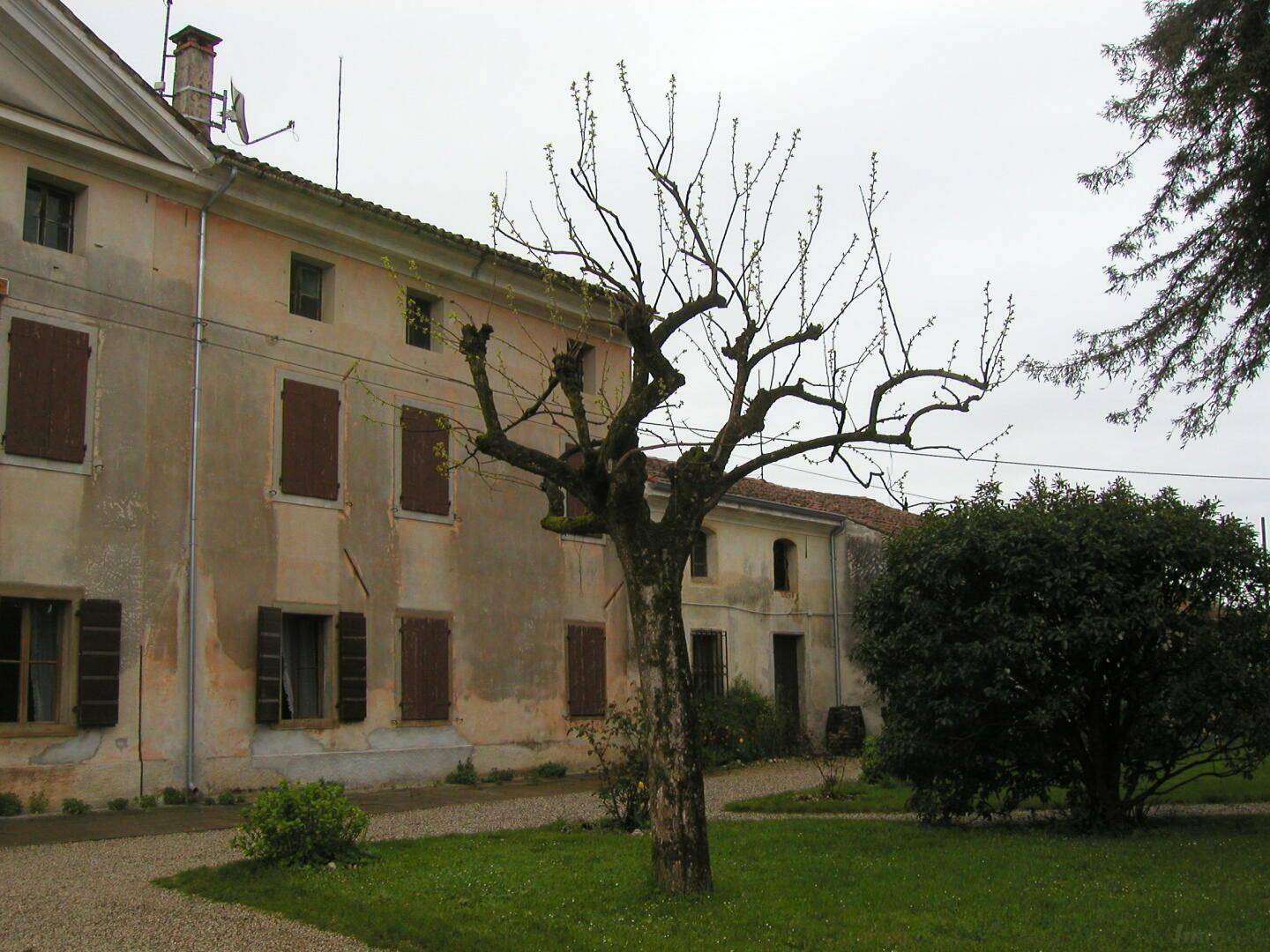 Fassade eines historischen Gebäudes mit einem kahlen Baum und einer Rasenfläche im Vordergrund.