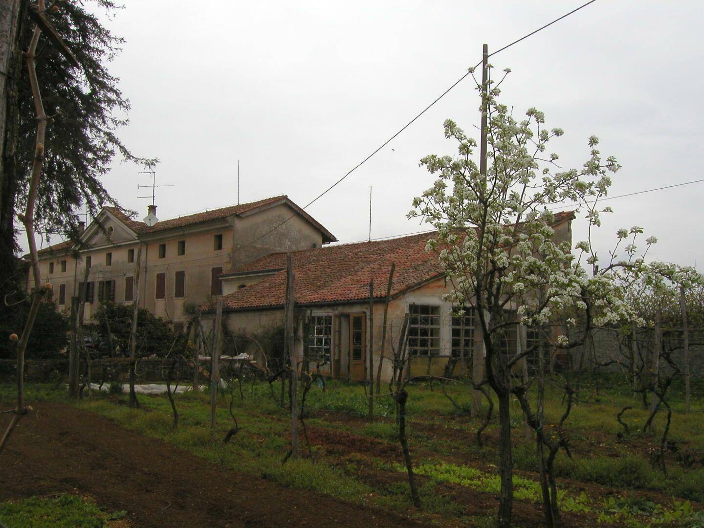 Liegenschaft Italien Udine kaufen