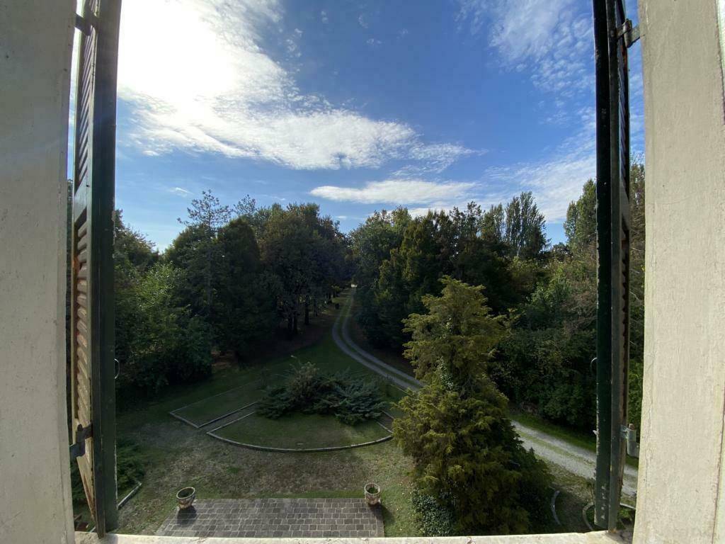 Malerischer Ausblick aus einem Fenster auf den weitläufigen Garten mit altem Baumbestand und Zufahrtsweg.