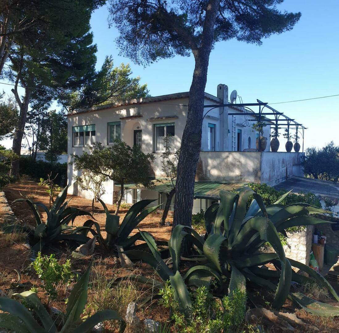 Charmantes Haus mit mediterranem Garten und großen Agavenpflanzen unter blauem Himmel.