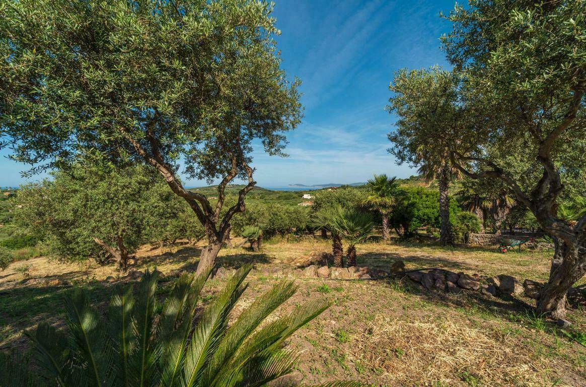 Villa Meerblick Sardinien kaufen (4)