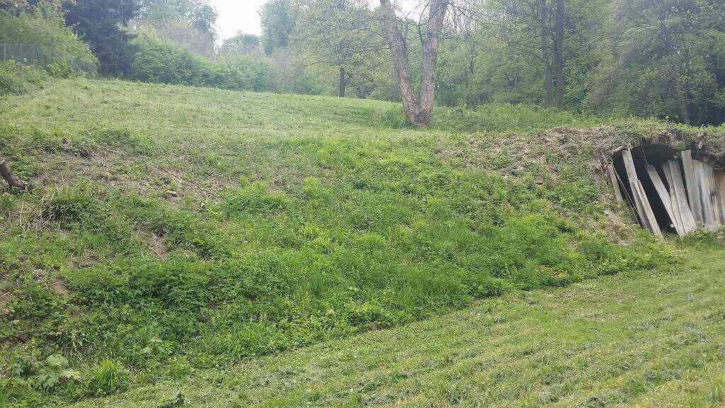 Grüne Hanglage mit üppiger Vegetation und einer kleinen, holzverkleideten Erdhöhle.