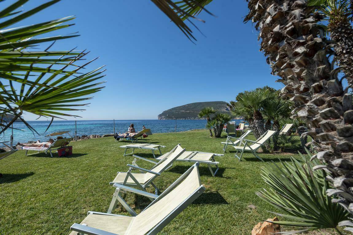Gepflegte Rasenfläche mit Liegestühlen und Palmen, die einen direkten Blick auf das Meer bietet.