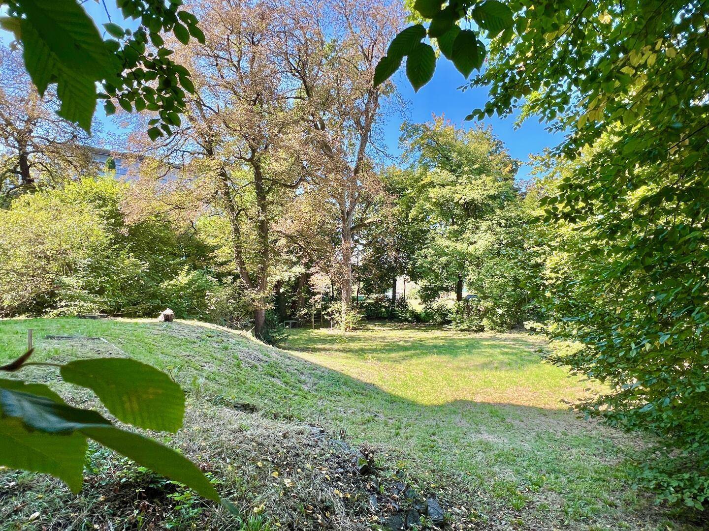 Weitläufiger Gartenbereich mit großer Rasenfläche und altem Baumbestand unter blauem Himmel.