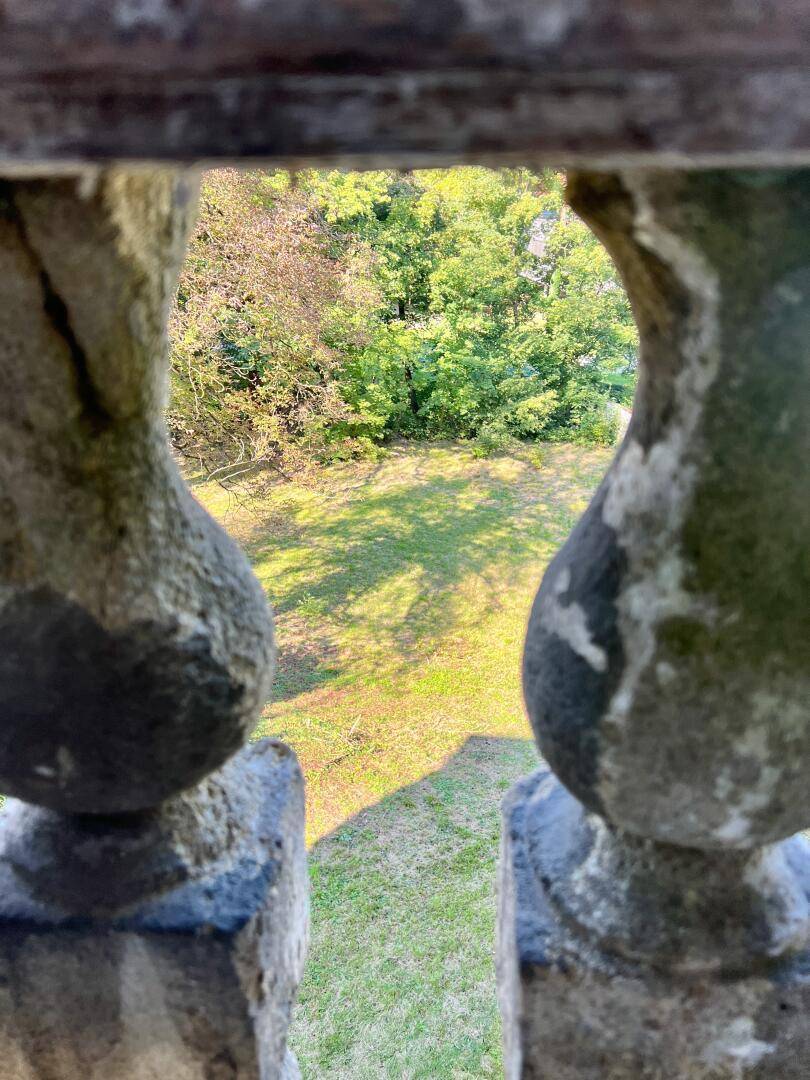 Blick durch eine steinerne Balustrade auf den grünen Garten und die umliegenden Bäume.