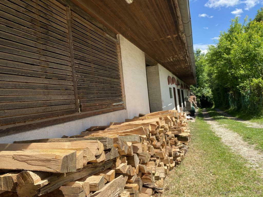 Großer Stapel Brennholz vor einer rustikalen Scheune, umgeben von grüner Natur.