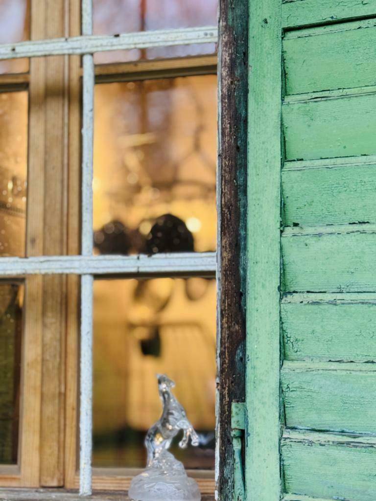 Nahaufnahme eines Fensters mit grünen Fensterläden und einem Blick ins Innere.