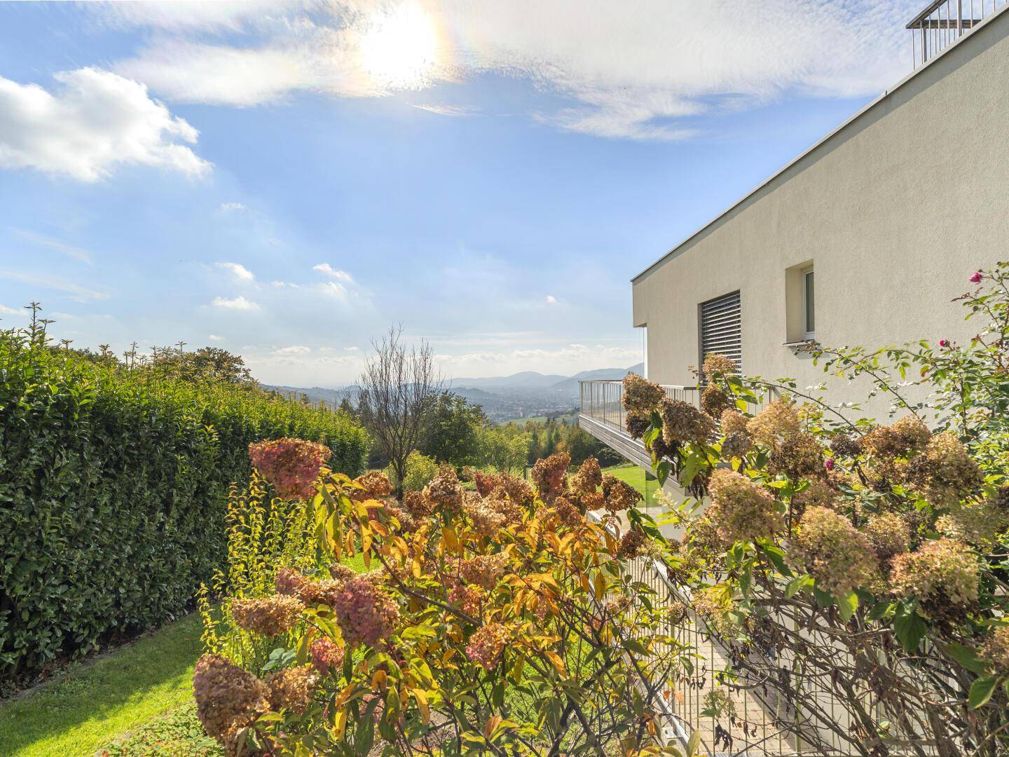 Gepflegter Gartenbereich mit blühenden Sträuchern und Blick auf die moderne Architektur des Hauses.
