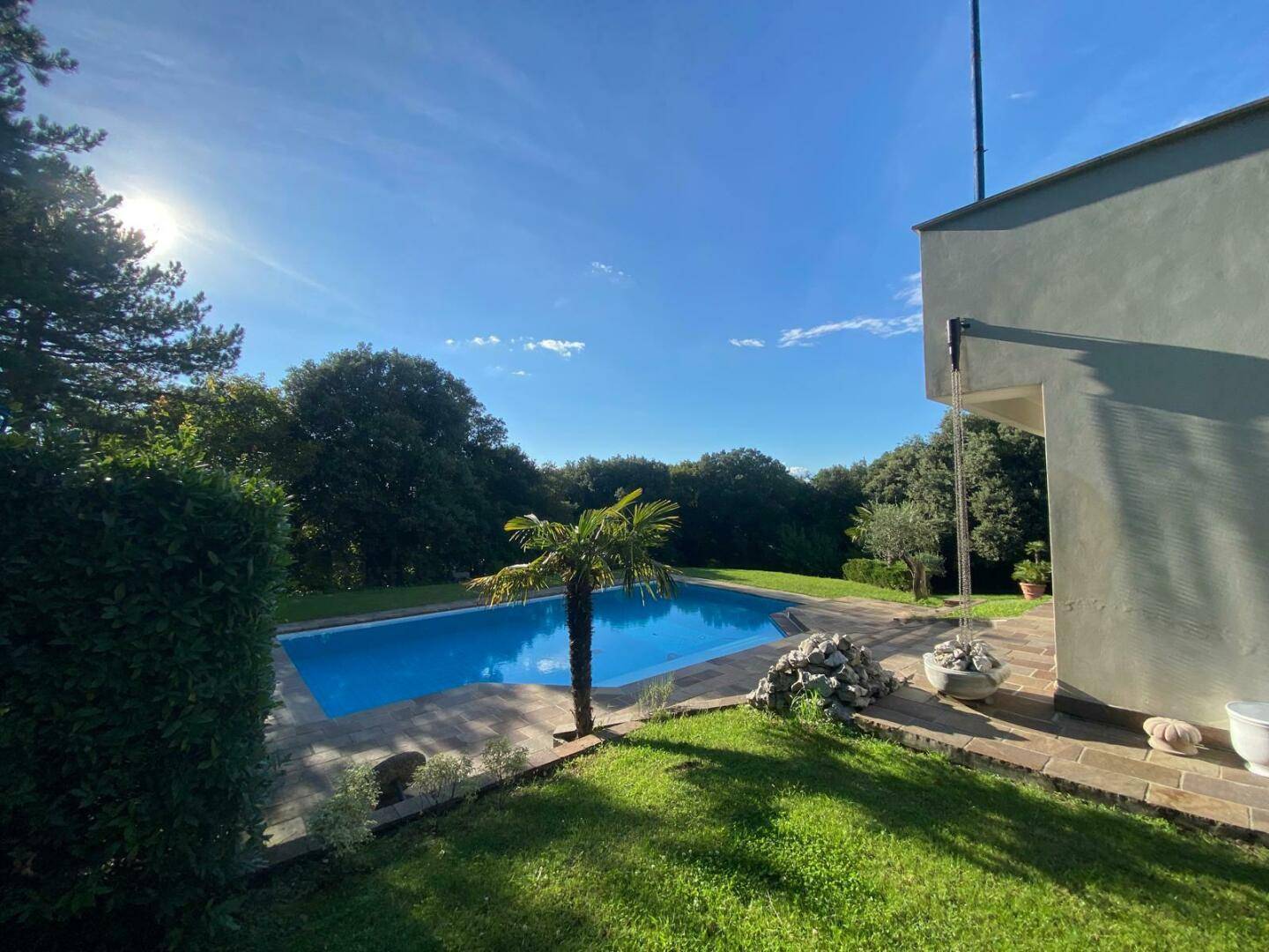 Sonniger Außenbereich mit Pool, Palmen und Blick ins Grüne.