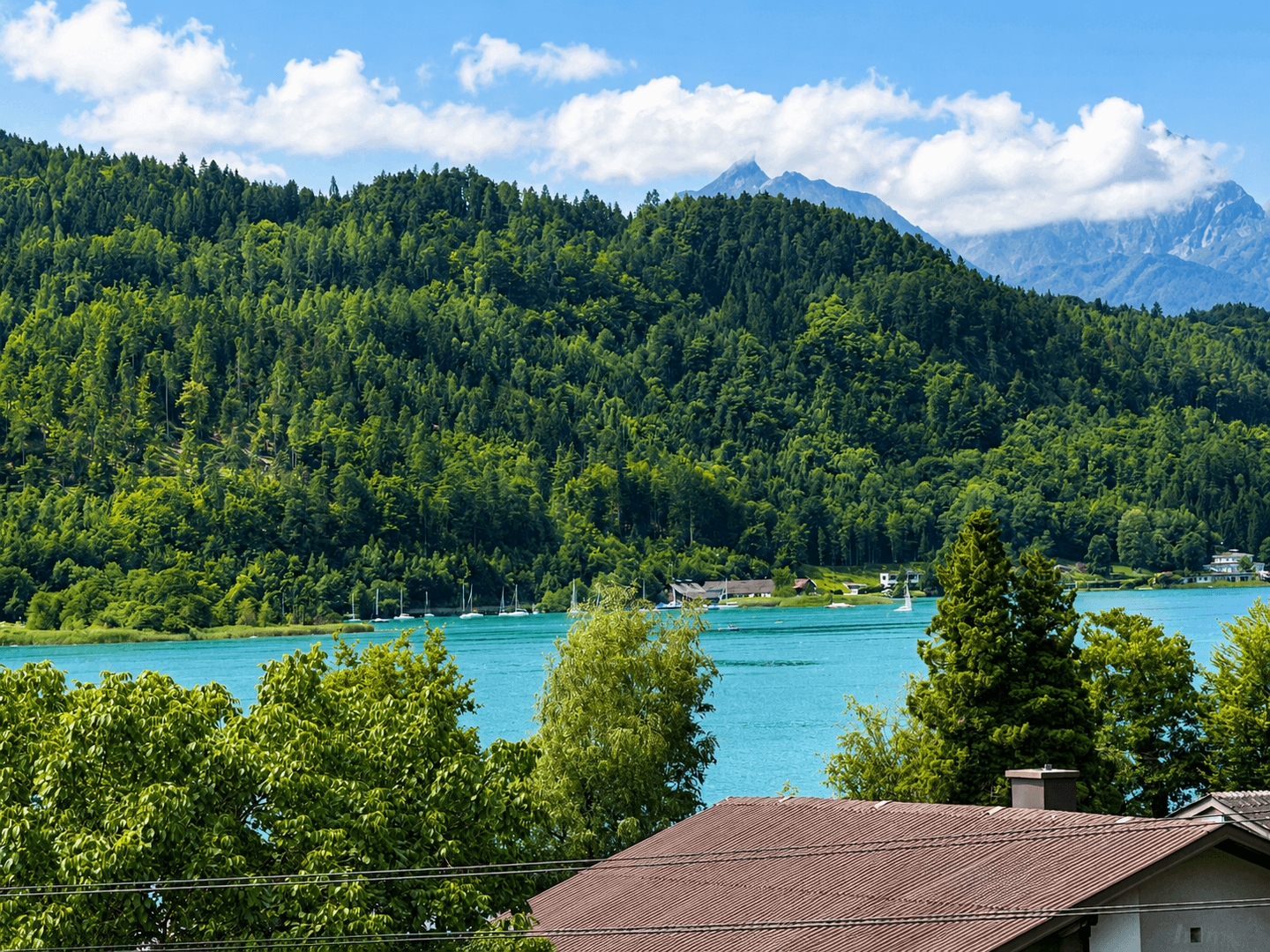 Panoramablick auf einen See, umgeben von grünen Wäldern und Bergen unter blauem Himmel.