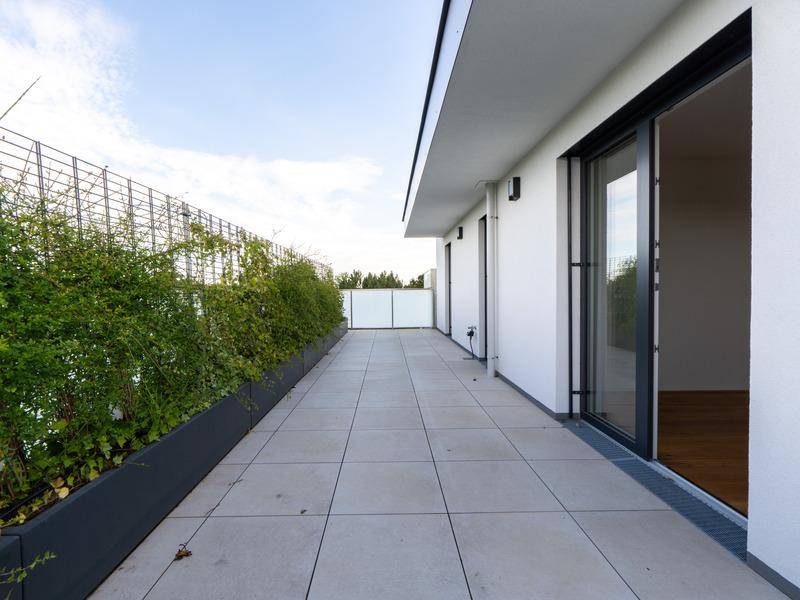 Lange, geflieste Terrasse mit integrierten Pflanzbeeten und Zugang zu Innenräumen.