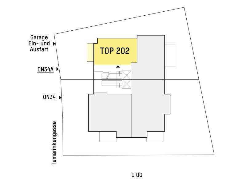 Grundriss des ersten Obergeschosses mit hervorgehobener Wohneinheit TOP 202.