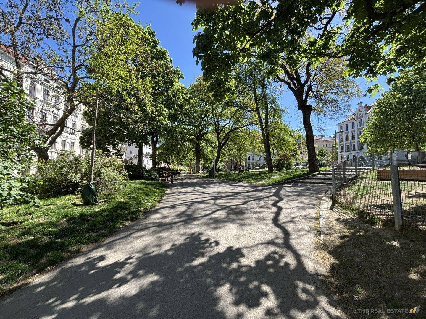 Grüner Parkweg mit Bäumen und Schatten, umgeben von Gebäuden.