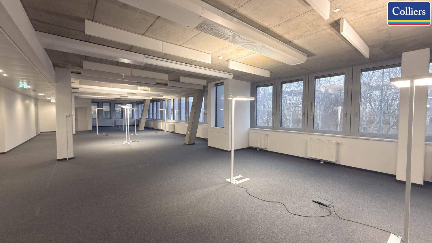 Weitläufiges Büro mit Teppichboden, vielen Fenstern und modernen Stehleuchten, ideal für offene Arbeitsbereiche.
