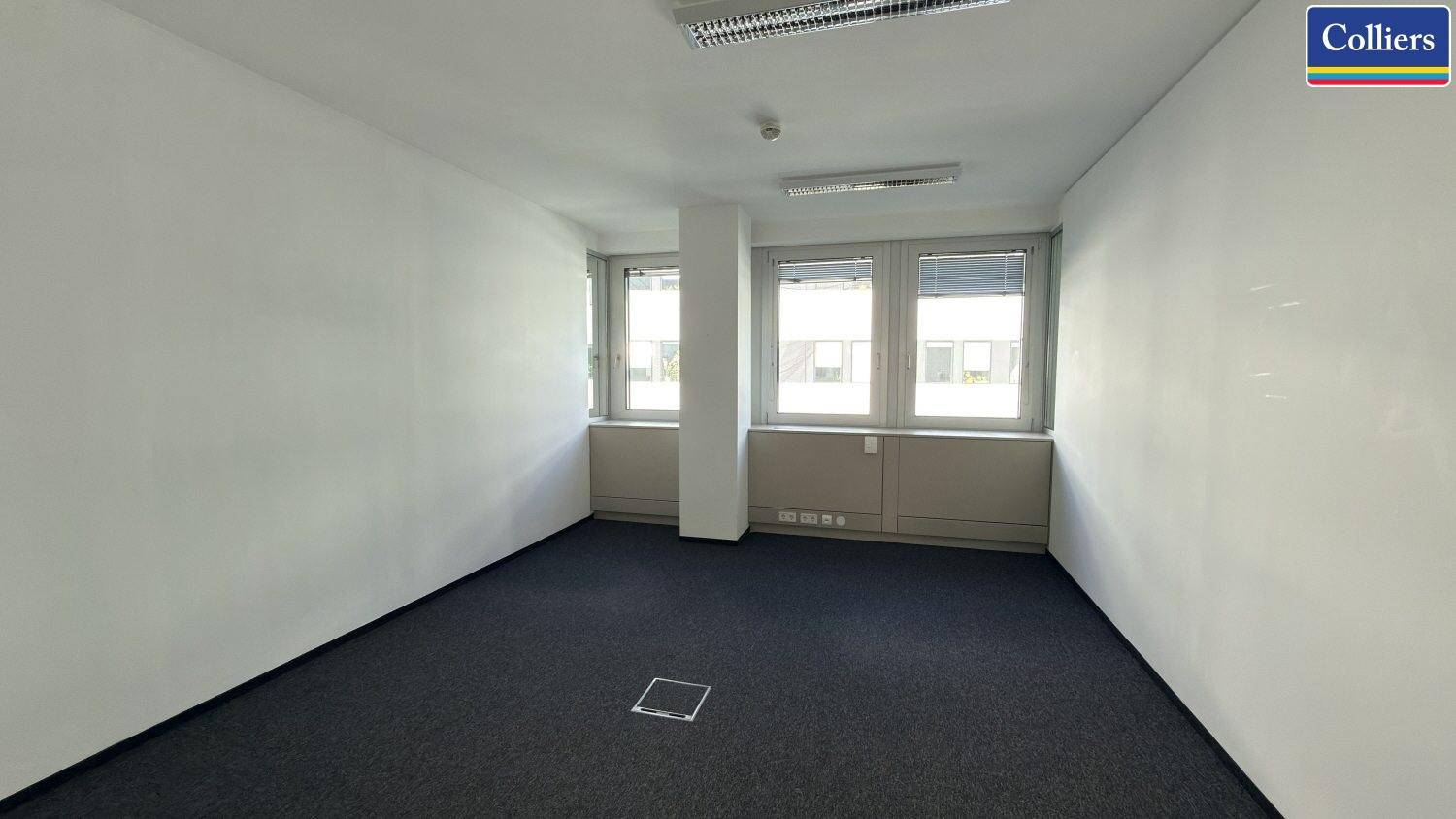 Helles Büro mit Teppichboden und Fenstern, die einen Blick auf die umliegenden Gebäude bieten.