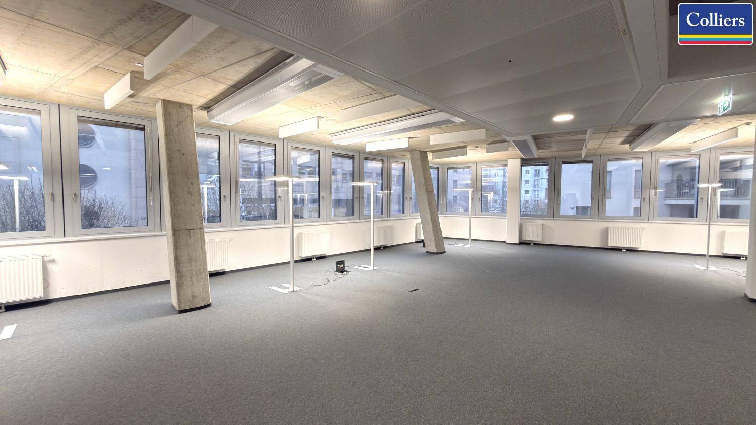 Helles Großraumbüro mit vielen Fenstern, Teppichboden und sichtbaren Betonsäulen.