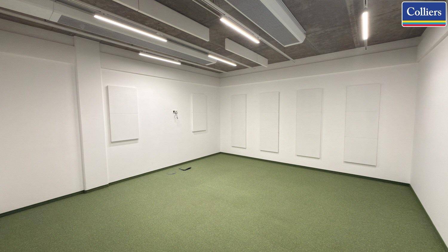 Bürofläche mit grünem Teppichboden, weißen Wänden und schallabsorbierenden Paneelen.
