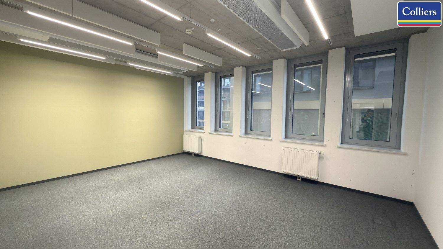 Bürofläche mit grünem Teppichboden, einer gelben Akzentwand und vielen Fenstern.