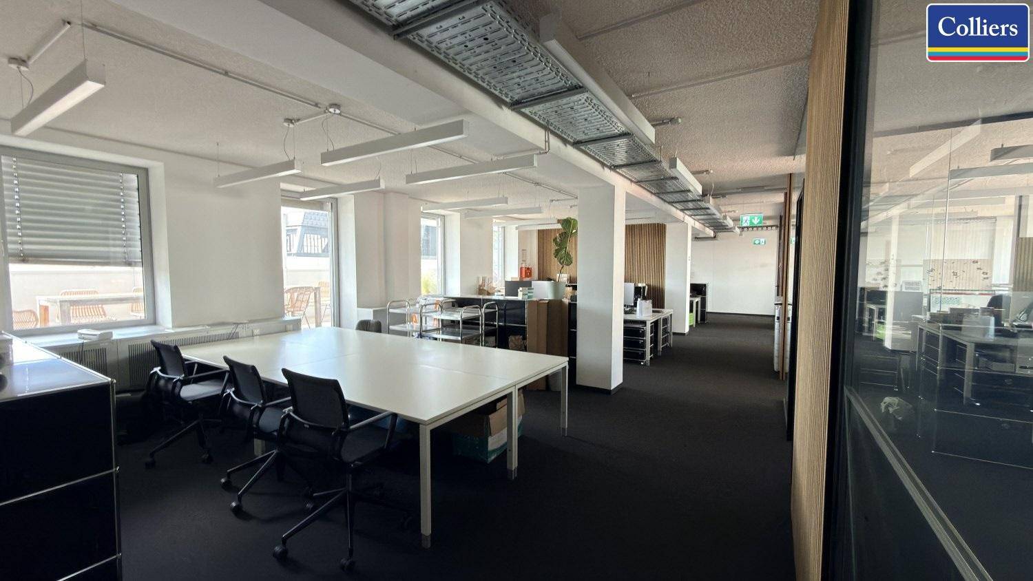 Großraumbüro mit mehreren Arbeitsplätzen, dunklem Teppichboden und großen Fenstern.