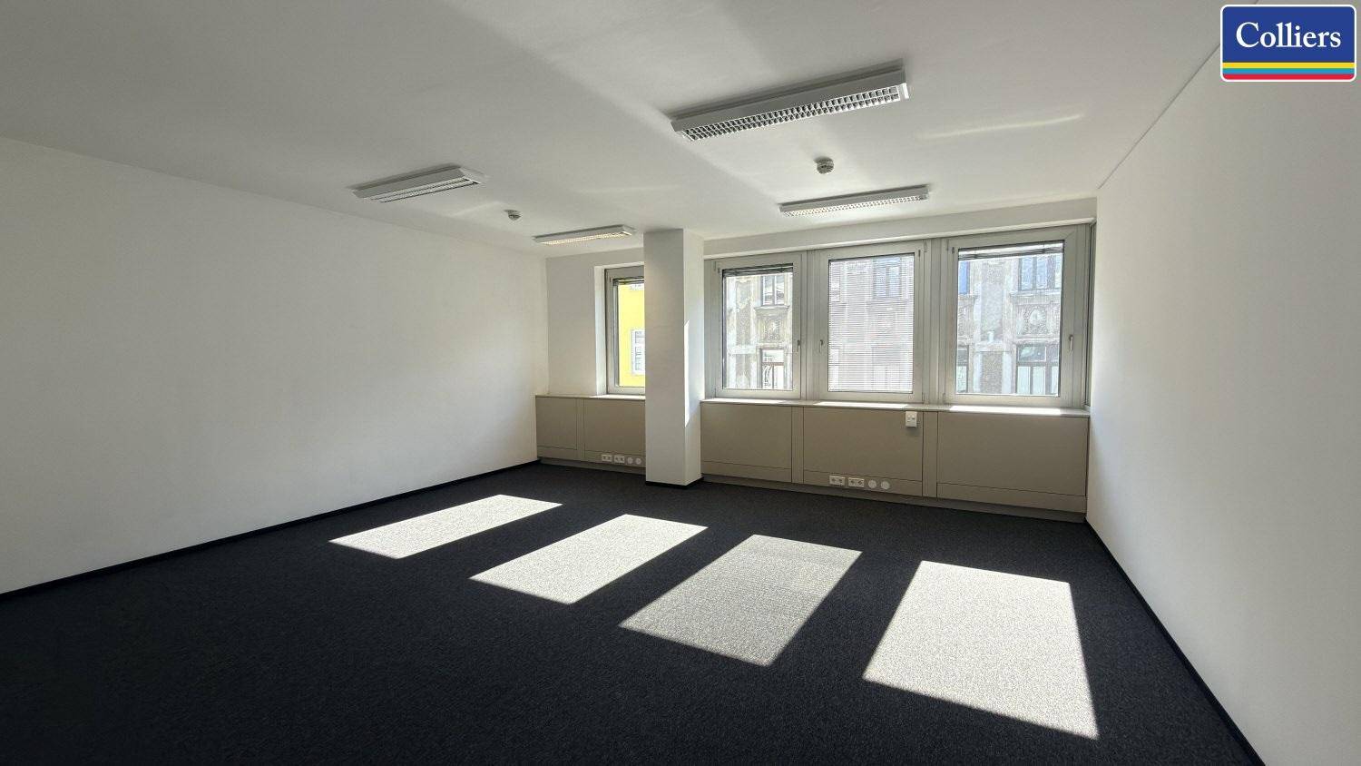Großes Büro mit Teppichboden und Fenstern, die den Raum mit natürlichem Licht durchfluten.