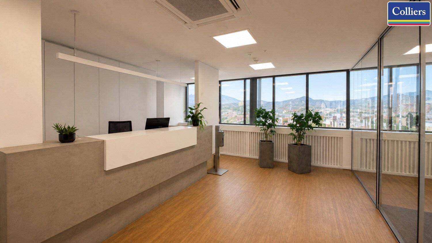 Empfangsbereich mit moderner Theke, großen Fenstern und Pflanzen, bietet einen einladenden ersten Eindruck.