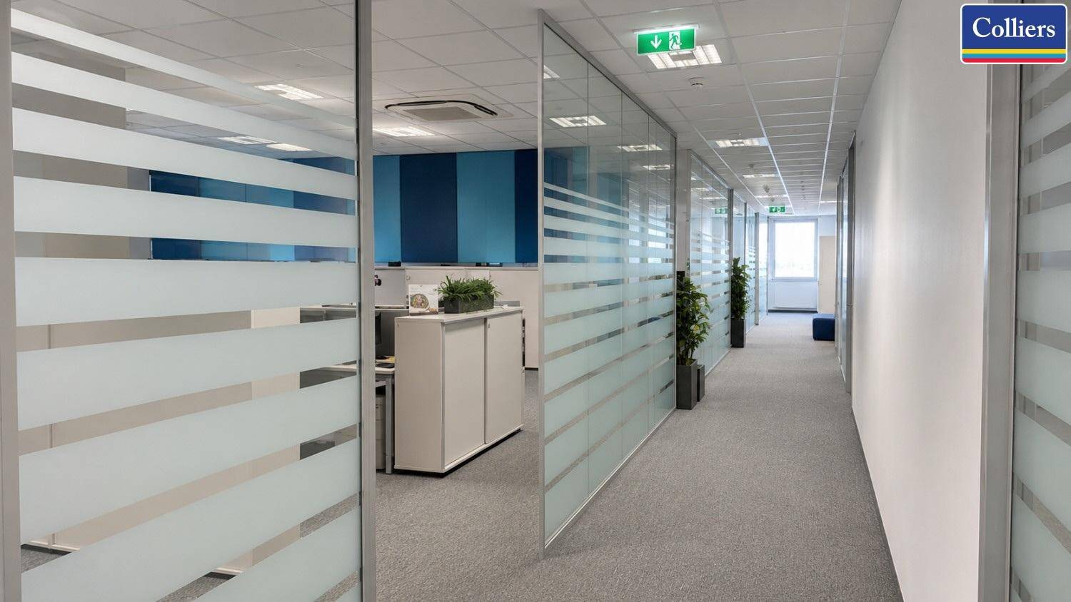 Langer Flur mit Glaswänden zu Büros und Teppichboden, schafft eine offene und helle Arbeitsumgebung.