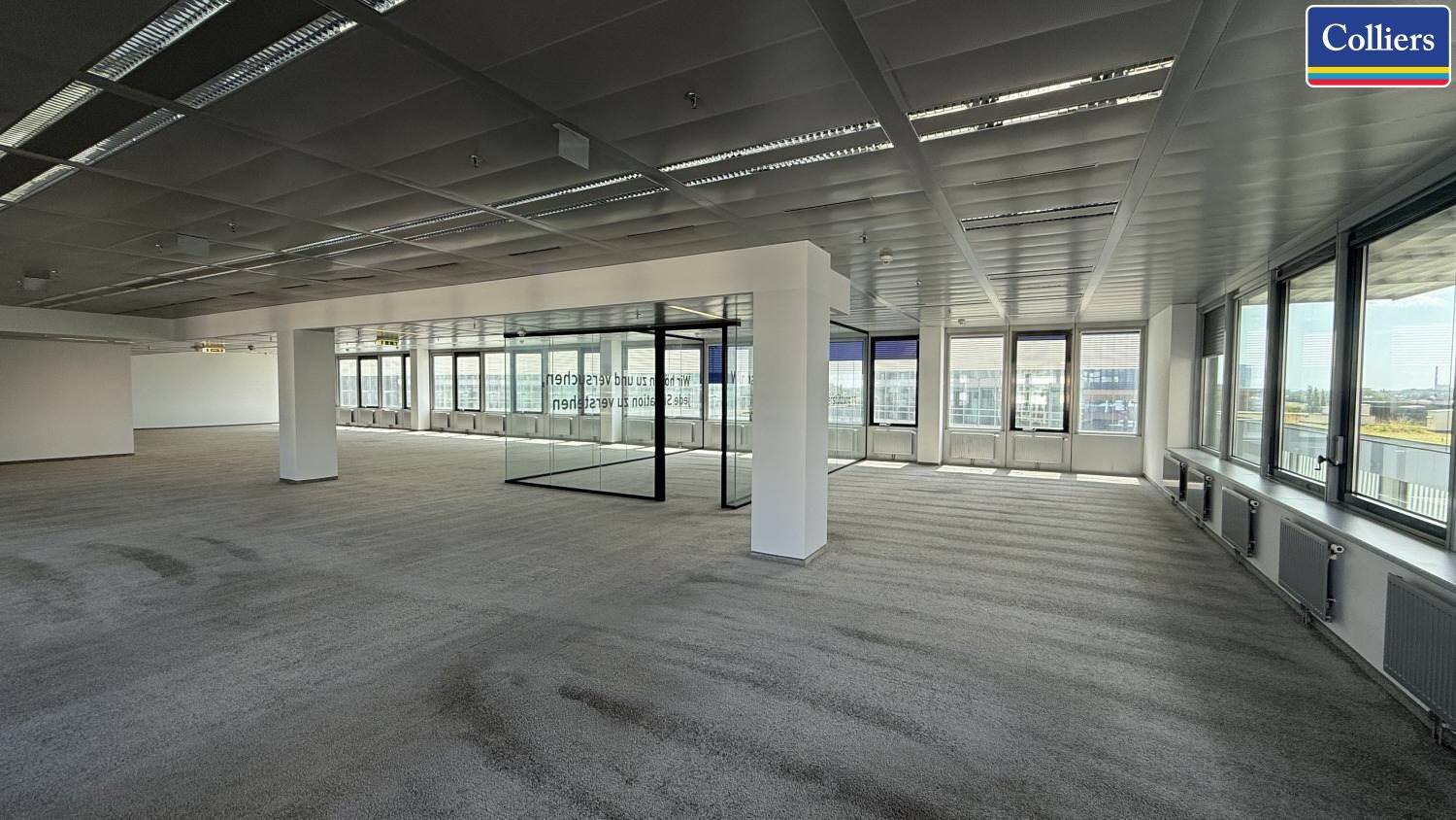 Großes, leeres Büro mit Teppichboden, vielen Fenstern und Säulen.