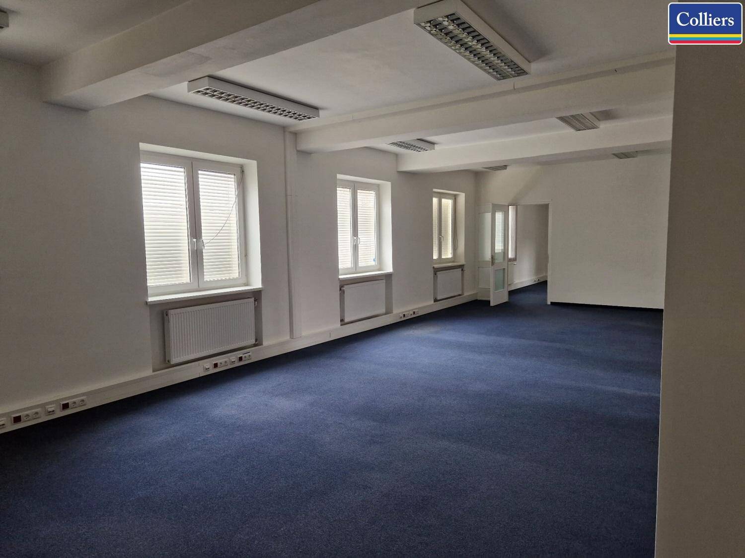 Helles Büro mit blauem Teppichboden, großen Fenstern und weißen Wänden, bereit zur Einrichtung.