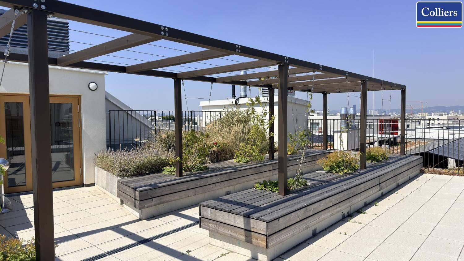 Dachterrasse mit Holzbänken, Pflanzen und Pergola, bietet einen weiten Blick über die Stadt.