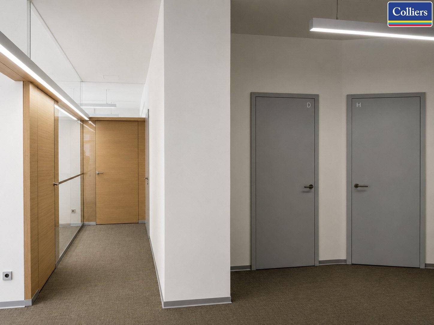 Heller Flur mit Teppichboden, modernen grauen Türen und Holzverkleidungen an der Wand.