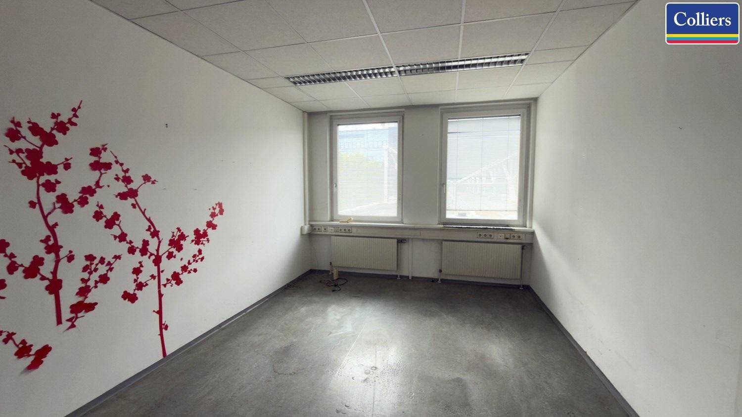 Büroraum mit Betonboden, zwei Fenstern und einer roten Wanddekoration, die eine Auffrischung benötigt.