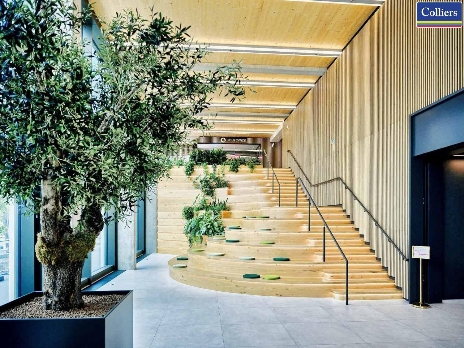 Beeindruckende Lobby mit breiter Holztreppe, vertikalen Holzlamellen und einem großen Olivenbaum.