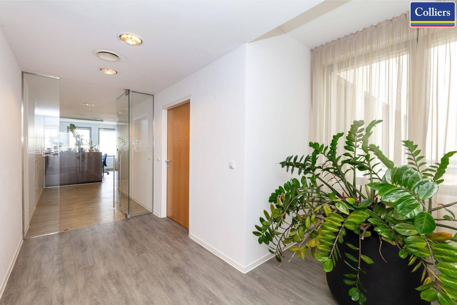 Heller Eingangsbereich mit großem Fenster, Pflanzen und modernem Bodenbelag.