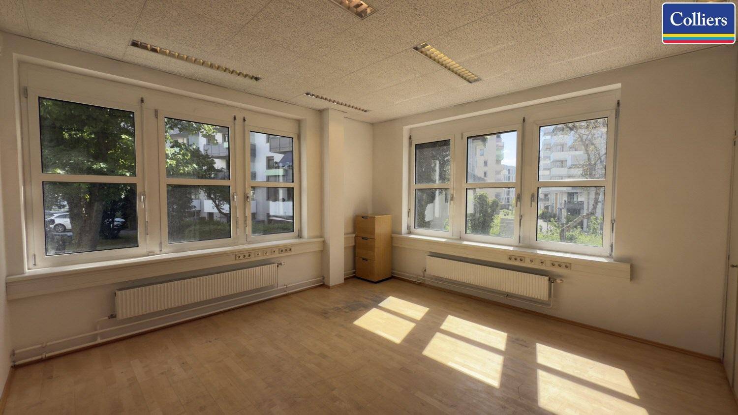 Helles Büro mit mehreren Fenstern, die den Raum mit Sonnenlicht durchfluten, und einem hellen Holzfußboden.