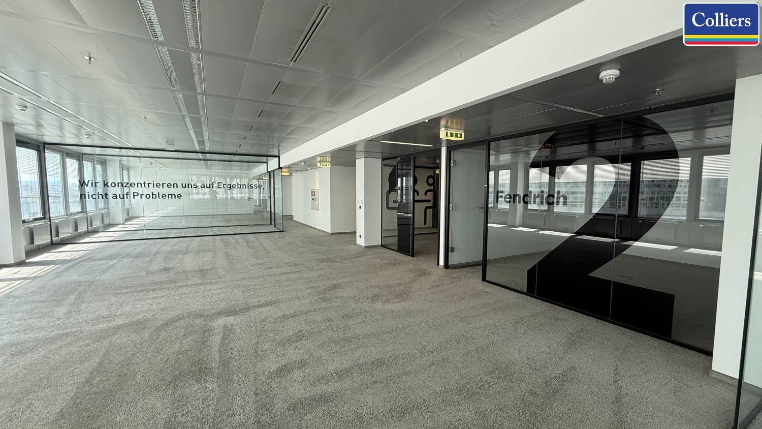 Modernes Büro mit Teppichboden, Glaswänden und Blick auf die Stadt.
