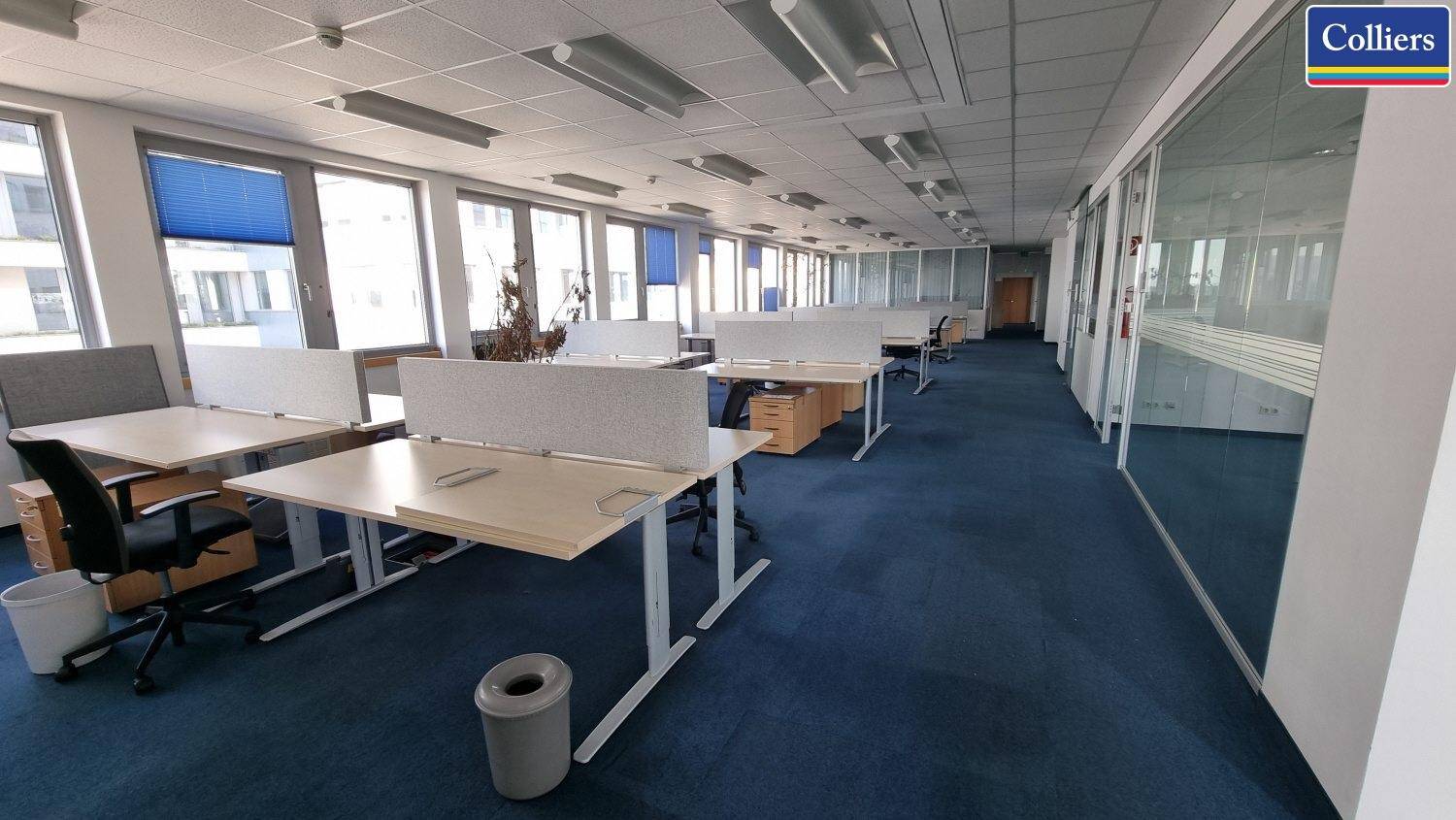 Geräumiger Bürobereich mit funktionalen Schreibtischen und Trennwänden, ausgestattet mit blauem Teppichboden.