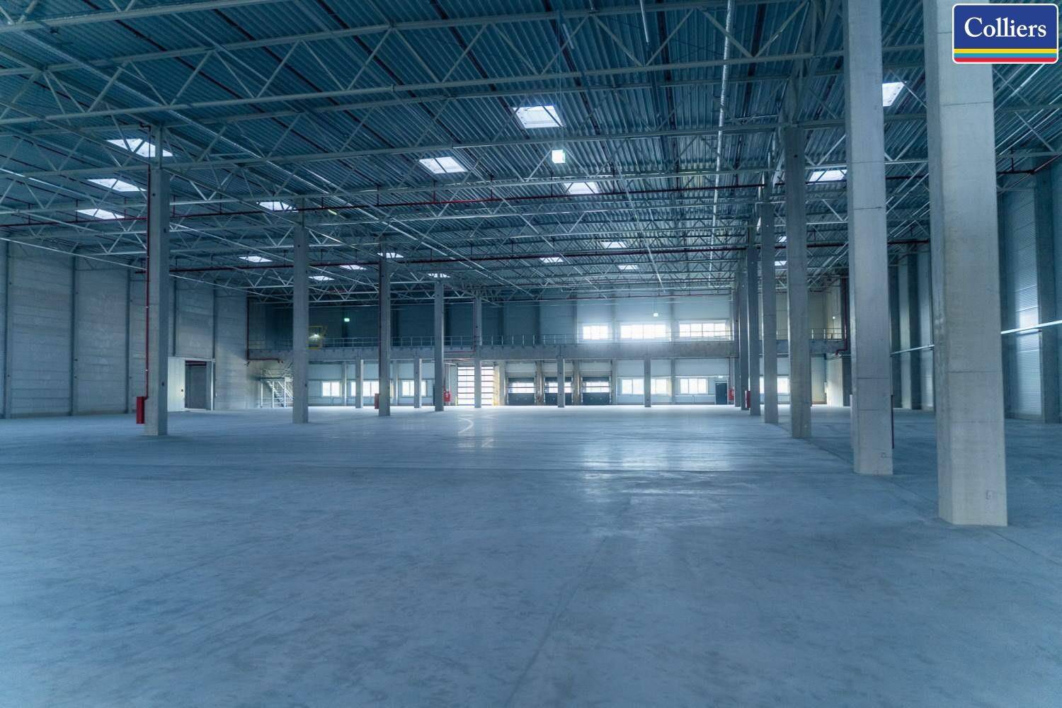 Weitläufige, ungenutzte Lagerhalle mit vielen Oberlichtern und sichtbaren Stahlträgern an der Decke.