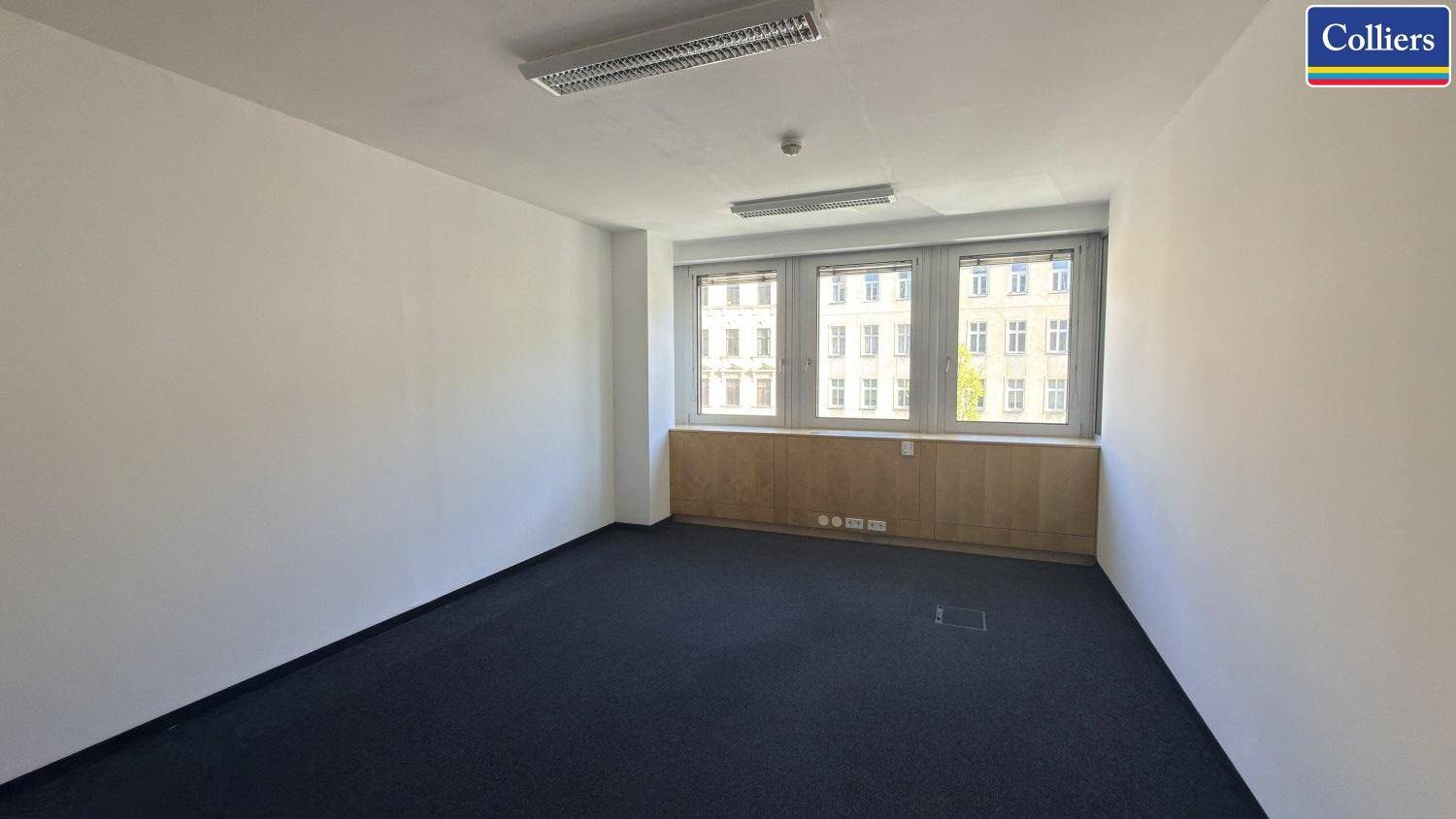 Großes Büro mit Teppichboden und einer Reihe von Fenstern, die viel Helligkeit in den Raum bringen.