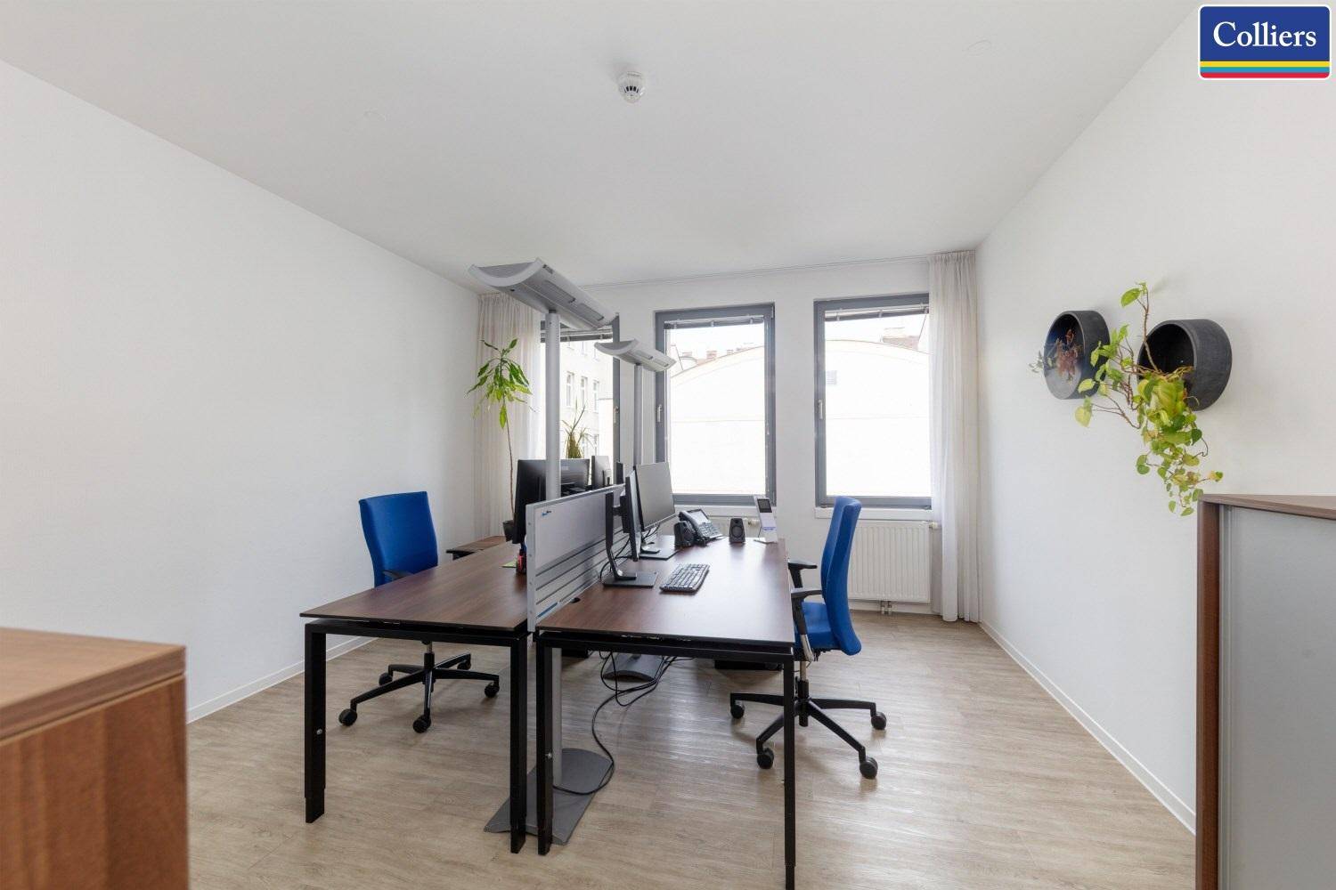 Helles, modernes Büro mit zwei Arbeitsplätzen, großen Fenstern und hellem Holzfußboden.