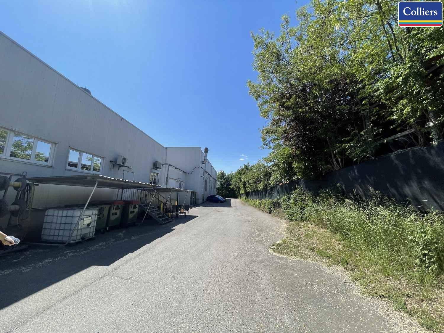 Zufahrtsweg neben dem Gebäude, umgeben von üppigem Grün und Bäumen unter blauem Himmel.