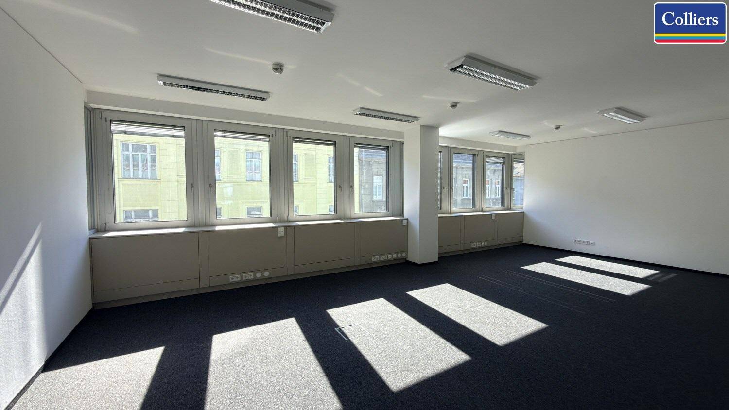 Großzügiges Büro mit Teppichboden und mehreren Fenstern, die den Raum mit natürlichem Licht füllen.