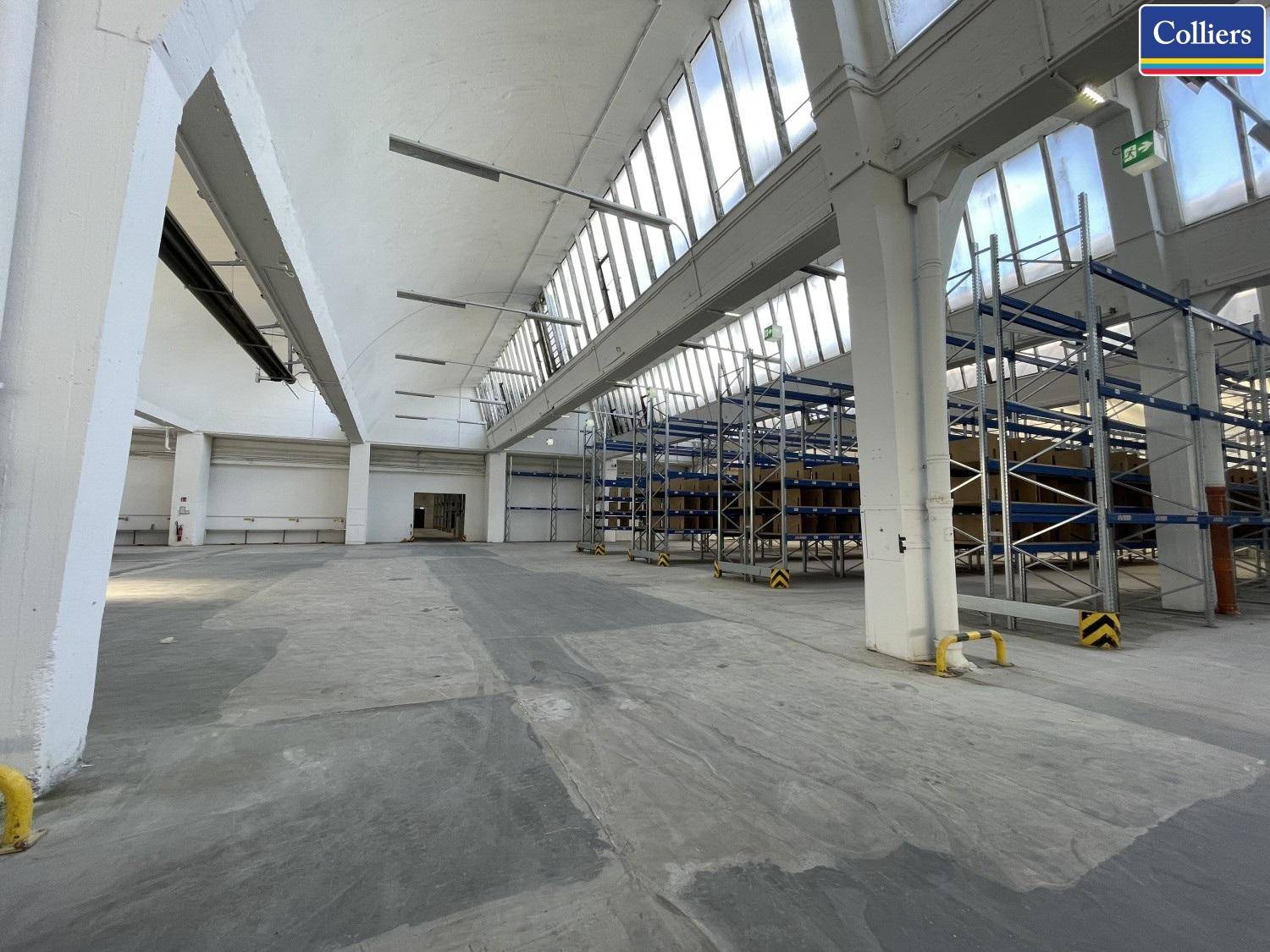 Geräumige Lagerhalle mit hohen Decken, Oberlichtern und Regalsystemen, bereit zur Nutzung.