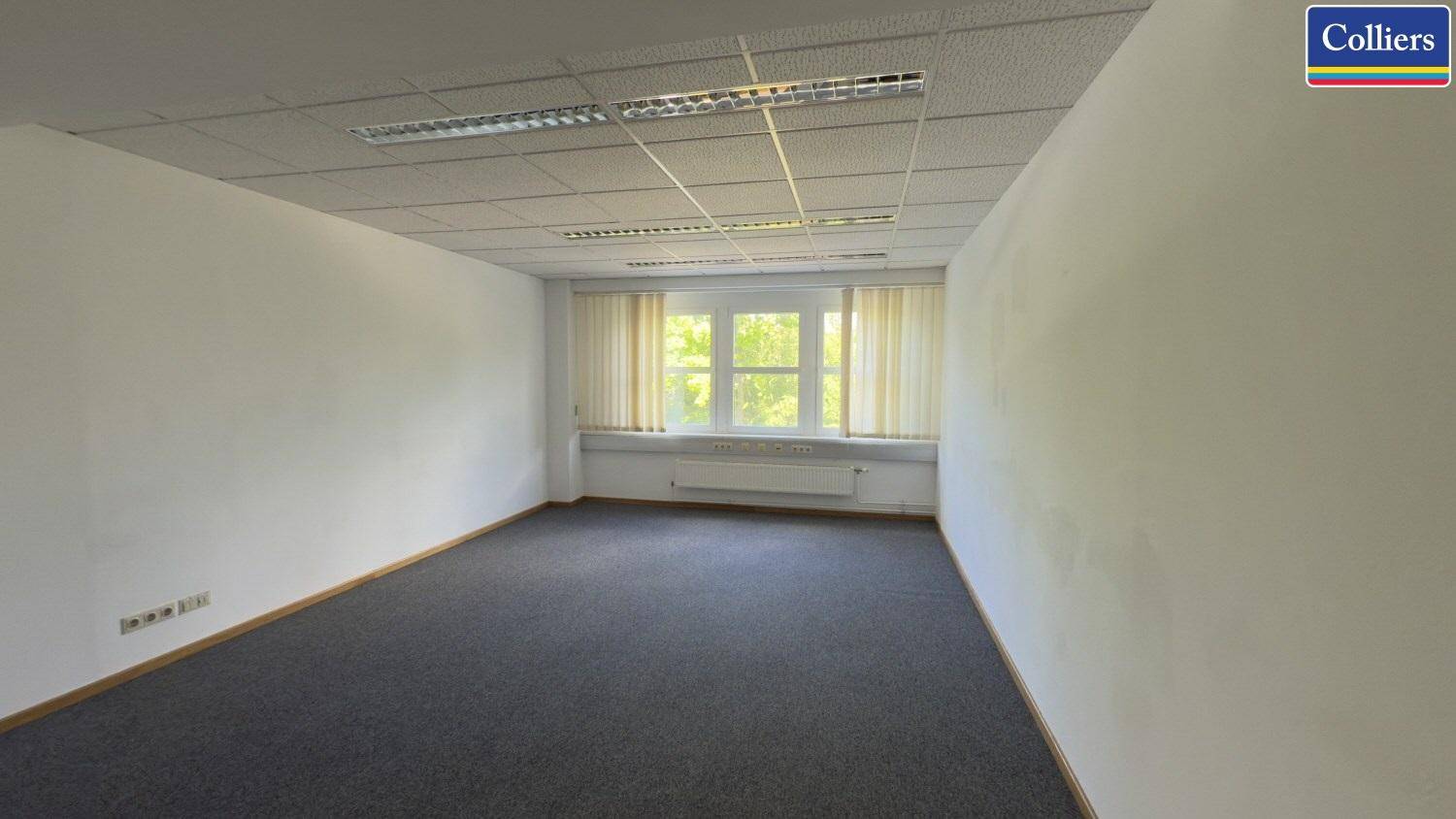 Helles Büro mit grauem Teppichboden, weißen Wänden und einem großen Fenster mit Jalousien für Privatsphäre.