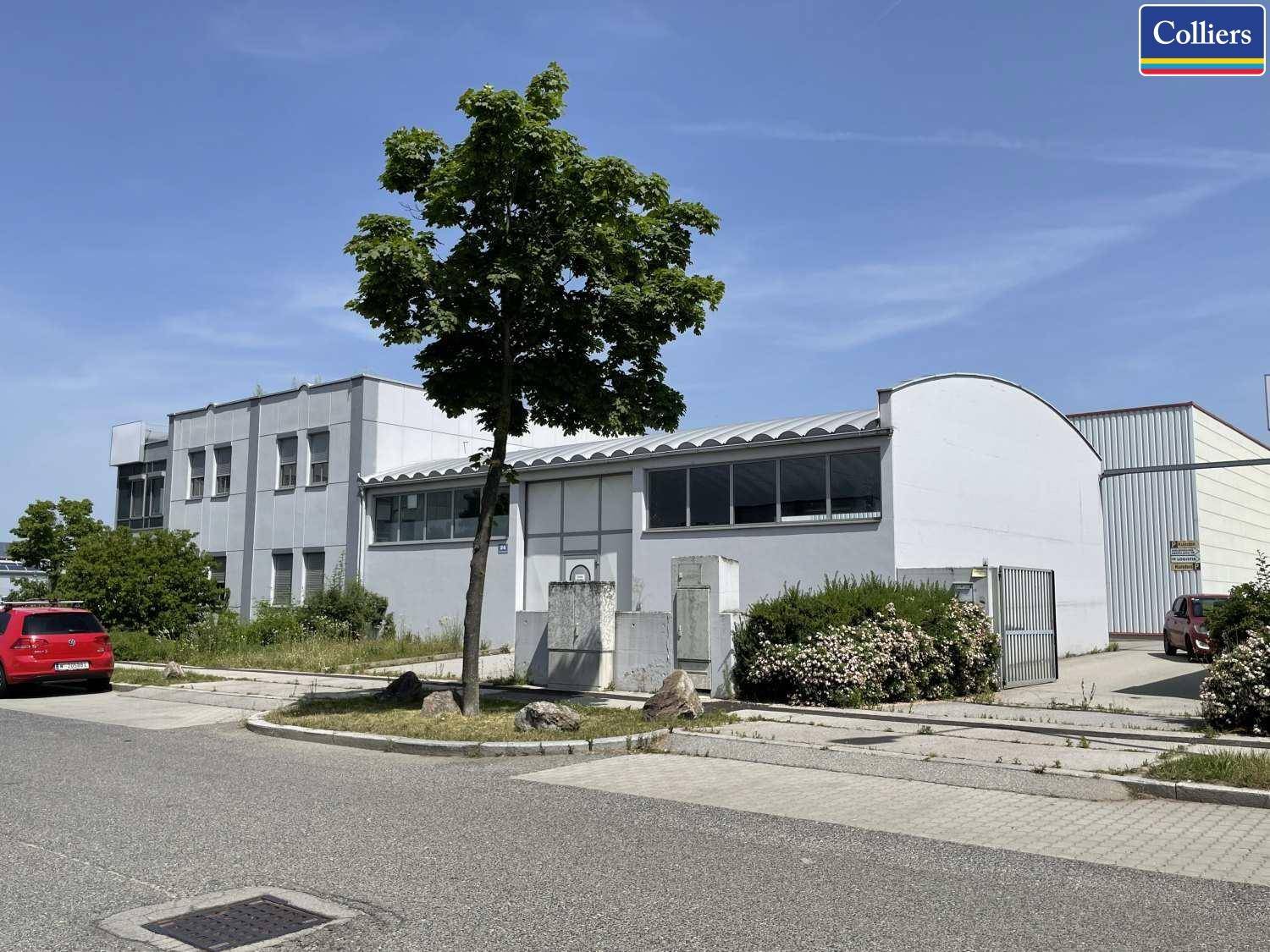 Seitenansicht des Bürogebäudes mit einem Baum und Büschen vor der Fassade an einem sonnigen Tag.