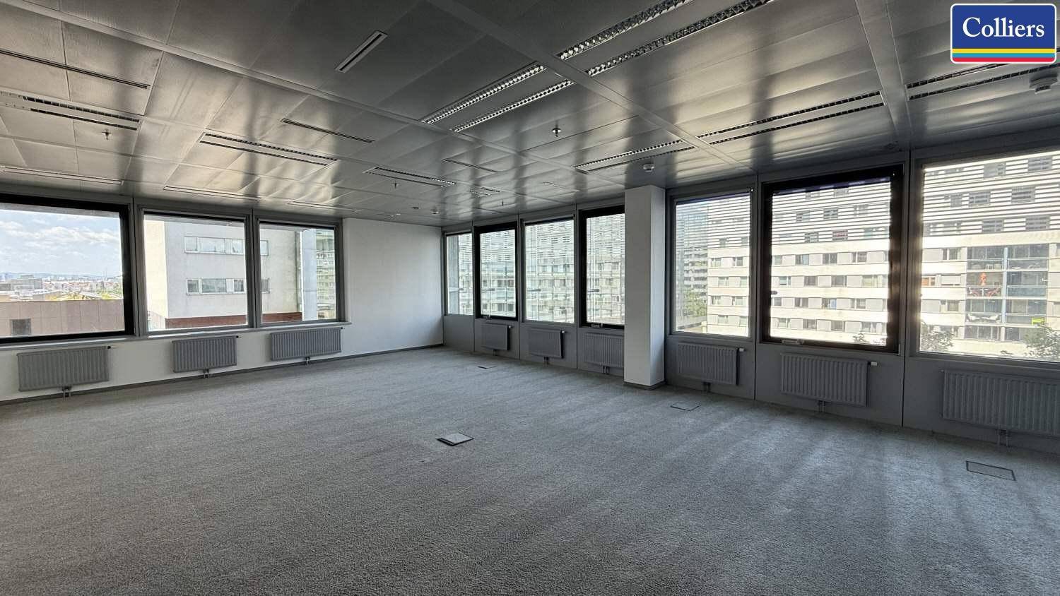 Leeres Büro mit Teppichboden, vielen Fenstern und Heizkörpern unter den Fenstern.
